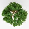 Model Tree suit Eucalyptus - 9cm Image 3 overhead view