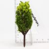 Model tree suit conifer, English Box etc - 6cm Image 3