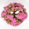 Model tree (mauve/lilac flowering) - 6cm Image 2 (overhead view)
